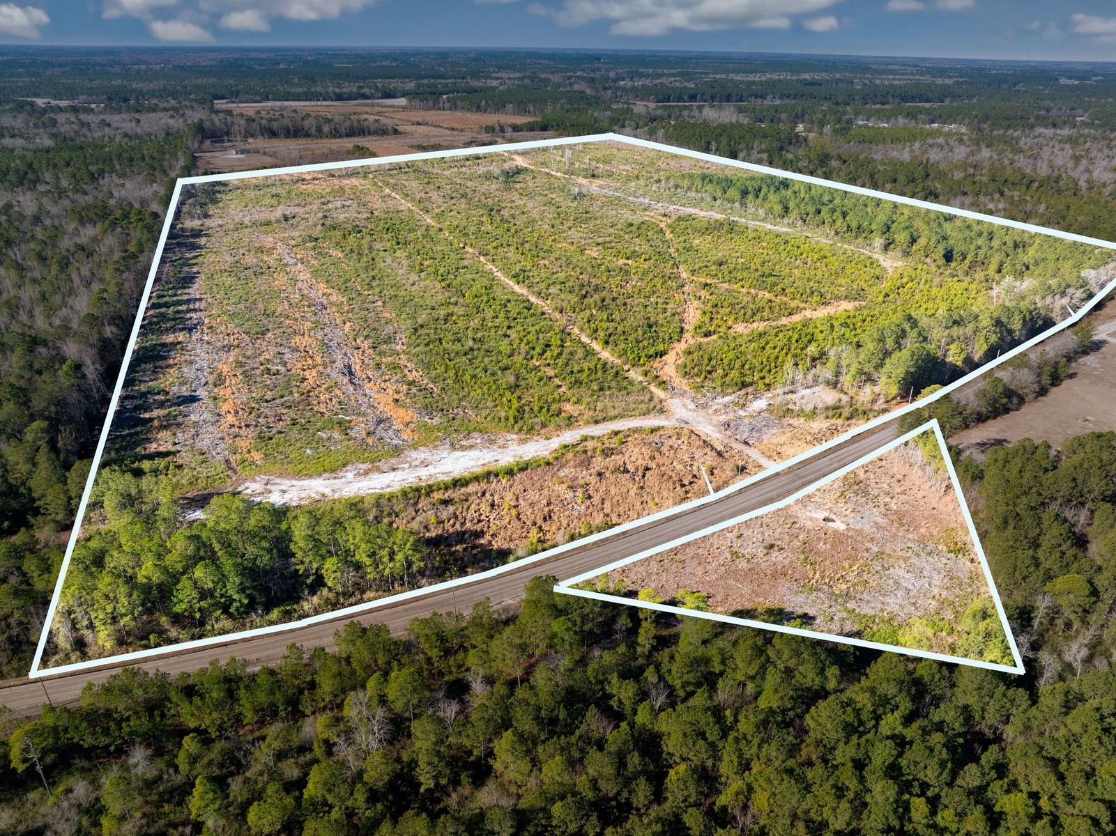 100 acres on Fifteen Mile Bay Rd, Nichols, SC