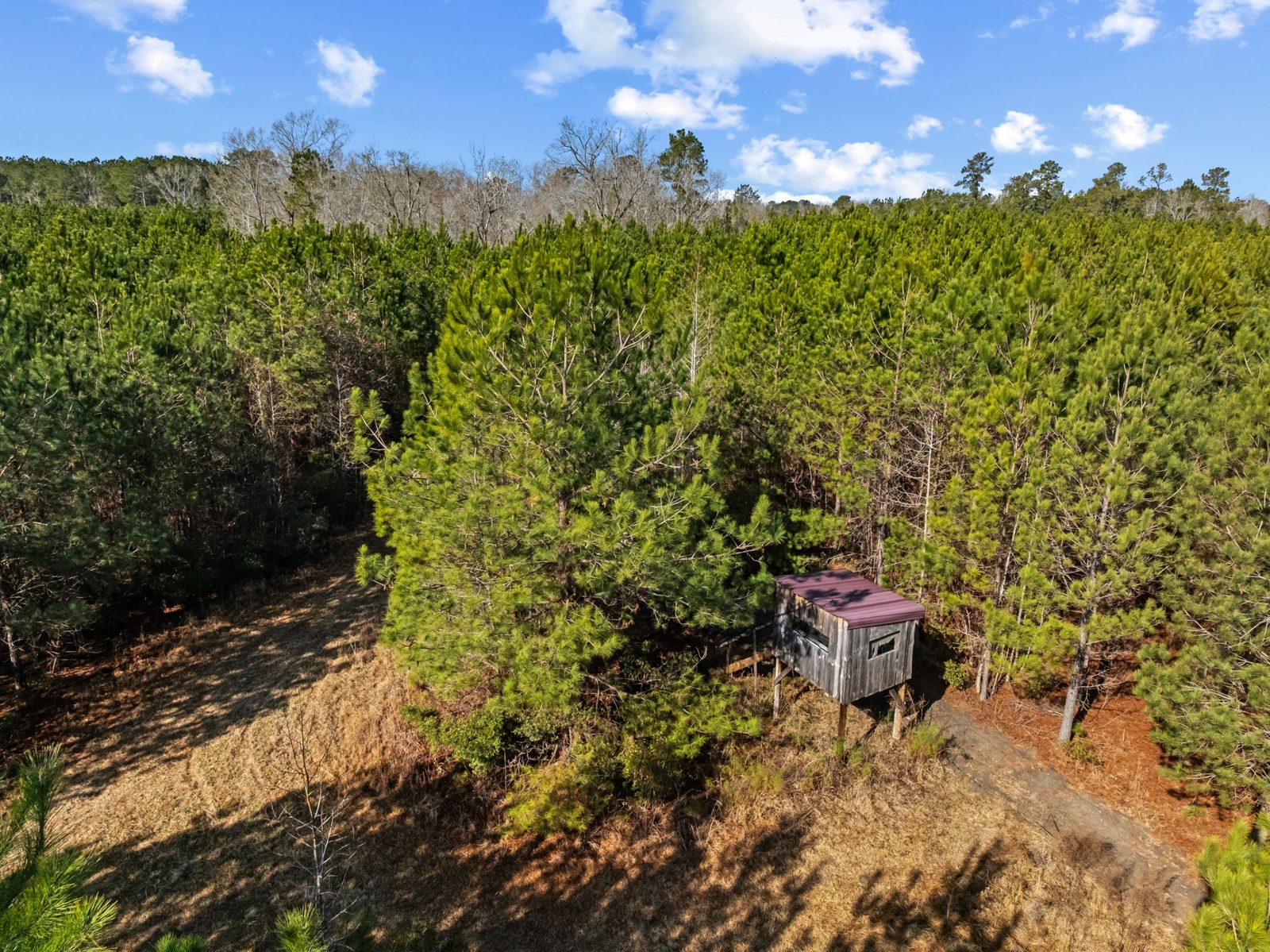 Blakely Plantation photo 1