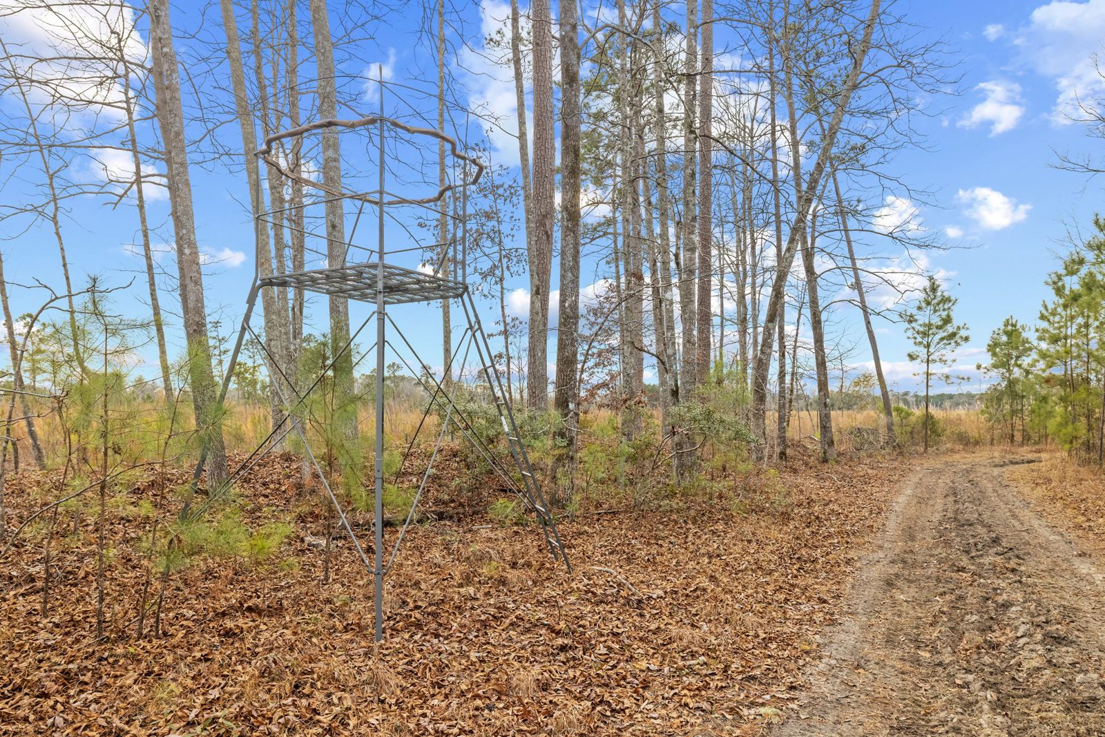 Blakely Plantation photo 4