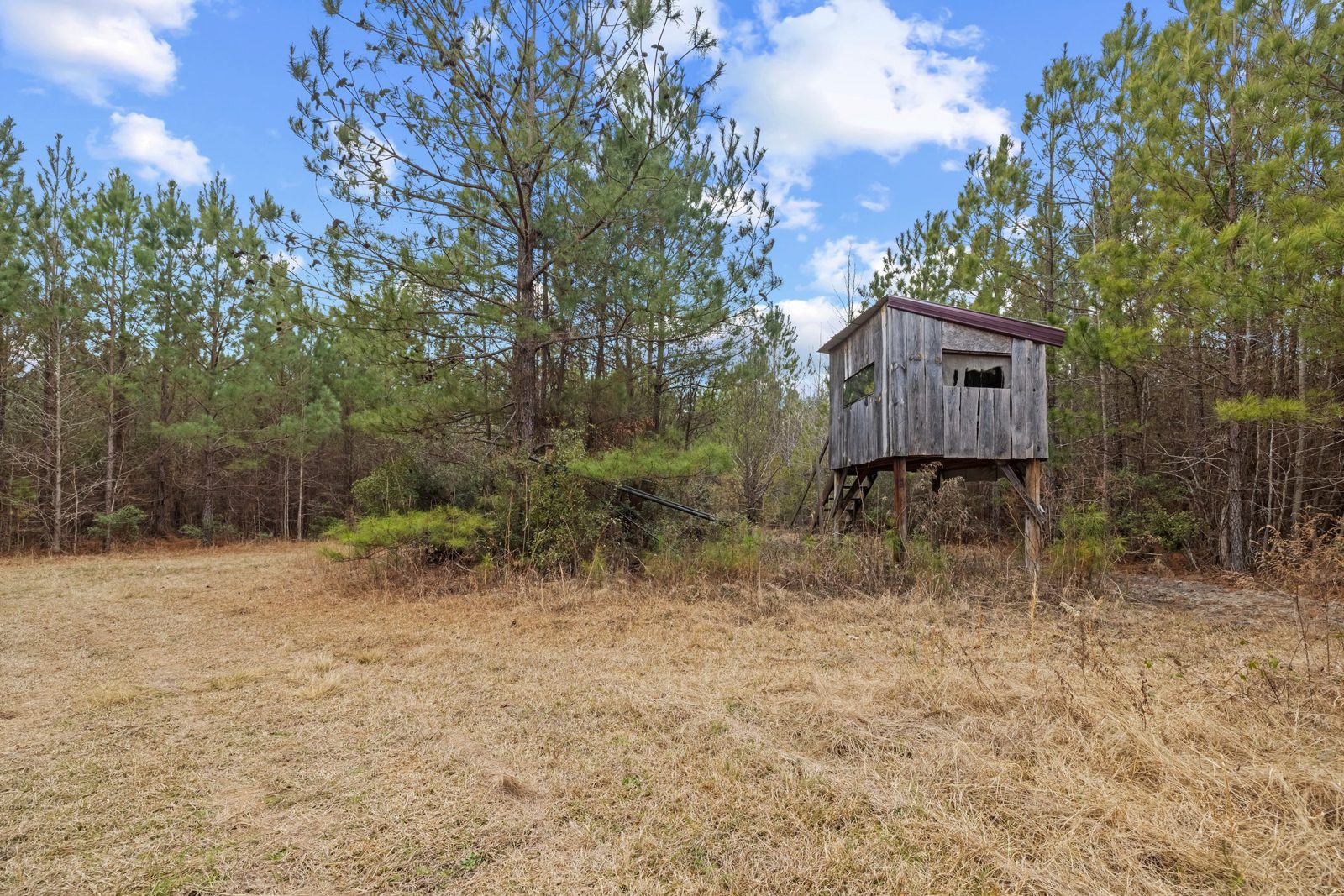 Blakely Plantation photo 6