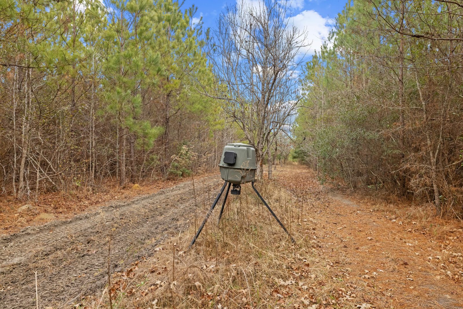 Blakely Plantation photo 7