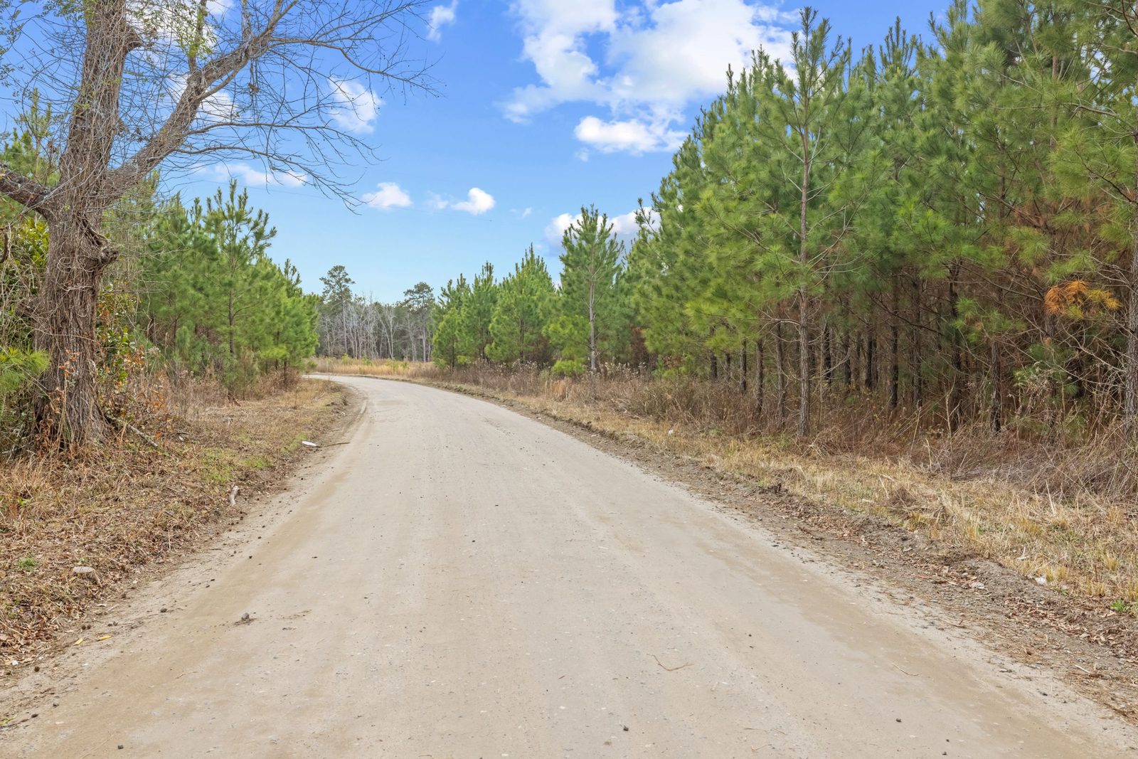 Blakely Plantation photo 9