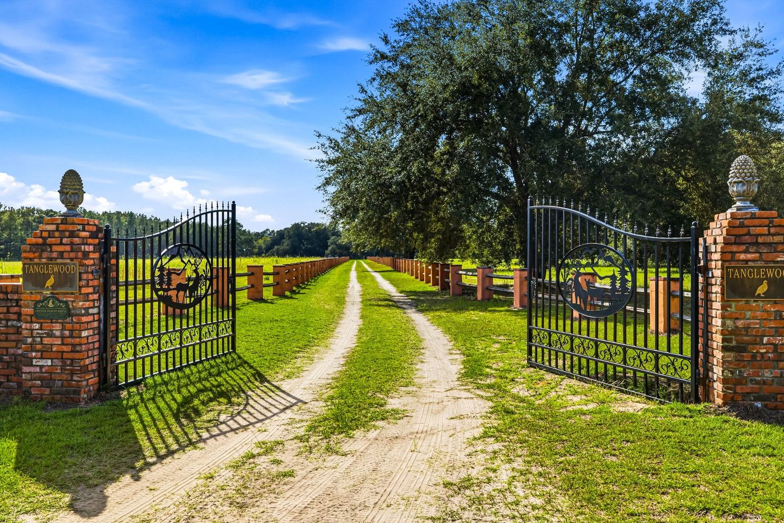 Brick-and-iron entrance gate at Tanglewood Plantation